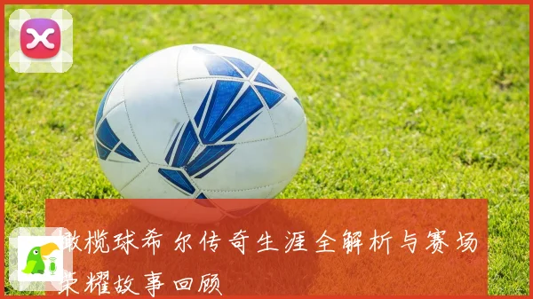 橄榄球希尔传奇生涯全解析与赛场荣耀故事回顾