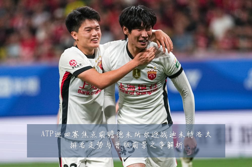 ATP巡回赛焦点前瞻德米纳尔迎战迪米特洛夫排名走势与晋级前景之争解析